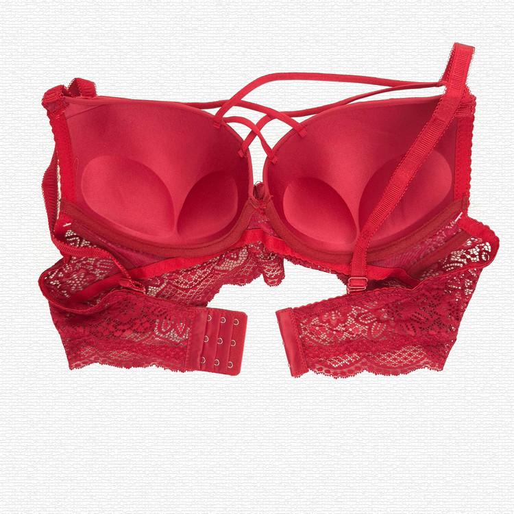 سوتین جکدار بند هارنس کد 7135